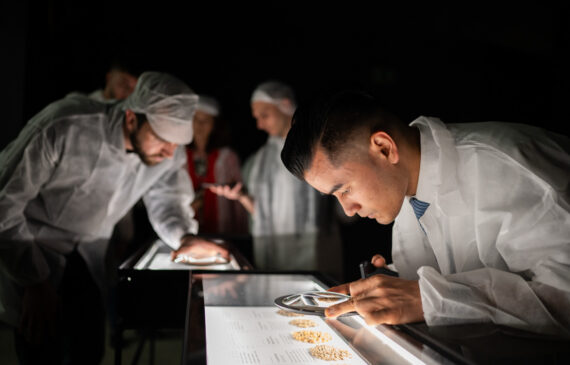 alcuni esperti analizzano i chicchi di caffè