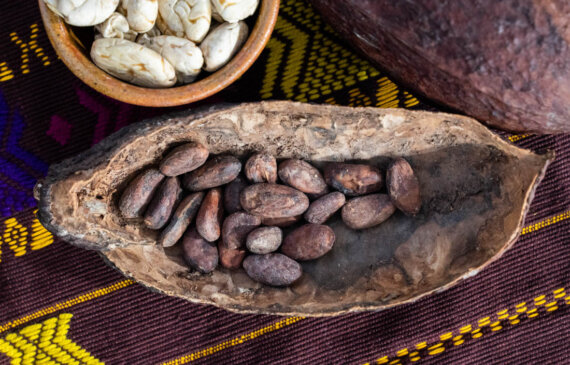 dettaglio di alcune fave di cacao