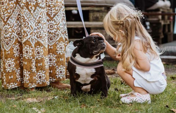 Una bambina accarezza un cane durante un matrimonio